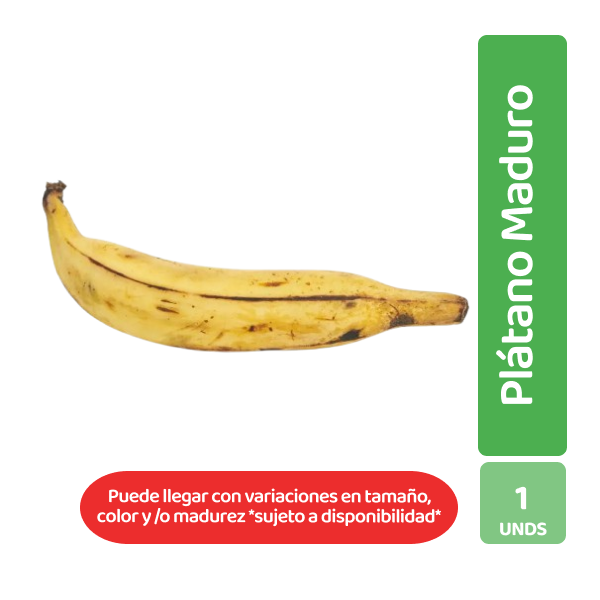 Perro Altoque Queso Tocineta