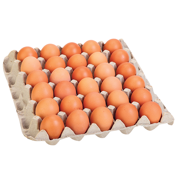 Amarr Huevos Rojos AA